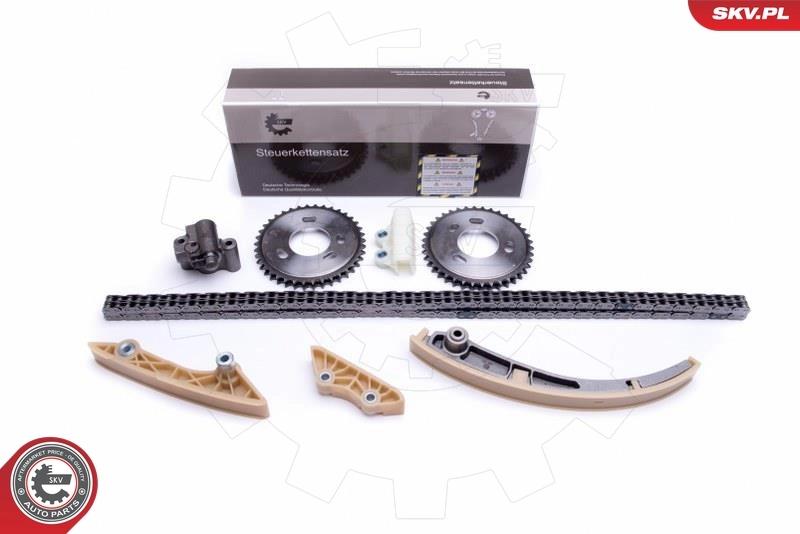 Timing Chain Kit